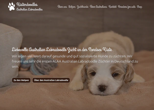 Labradoodles
